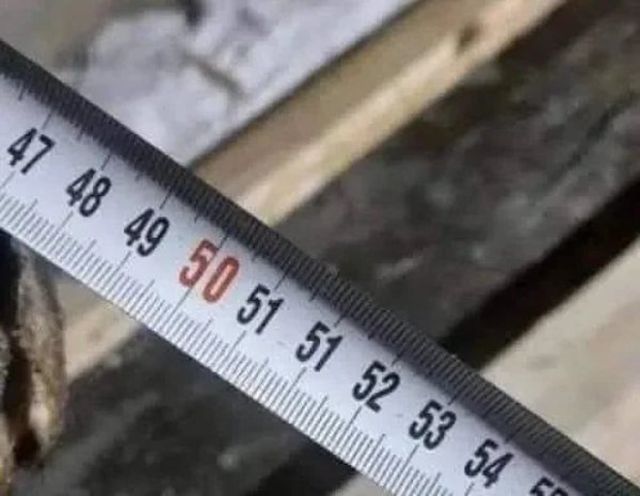 What Is Going On Here? (29 pics)