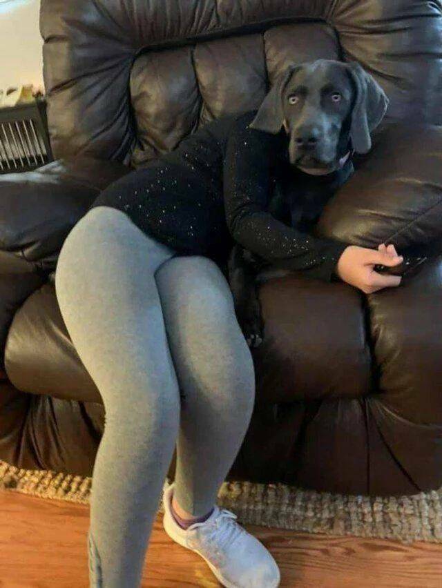 Daily Pictures. Part 1 (53 pics)