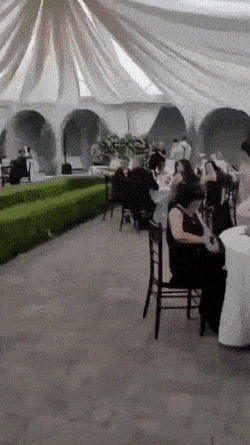 Acid GIFs, December 12 (25 gifs) Acid GIFs, December 12 (25 gifs)