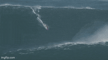 Acid GIFs, December 12 (25 gifs) Acid GIFs, December 12 (25 gifs)