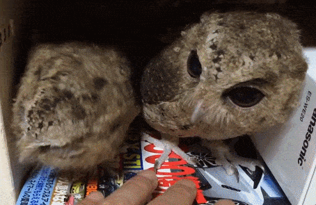 Acid GIFs, December 12 (25 gifs) Acid GIFs, December 12 (25 gifs)