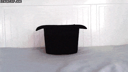 Acid GIFs, December 12 (25 gifs) Acid GIFs, December 12 (25 gifs)
