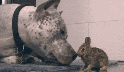 Acid GIFs, December 12 (25 gifs) Acid GIFs, December 12 (25 gifs)