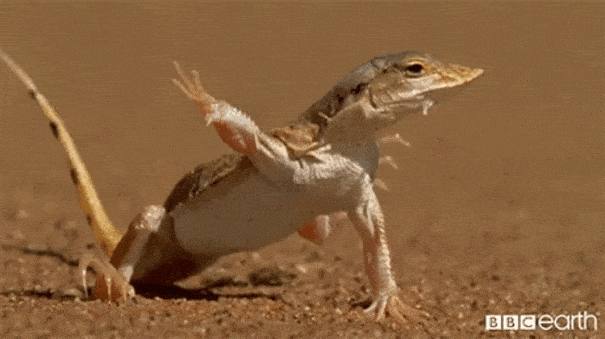 Acid GIFs, December 12 (25 gifs) Acid GIFs, December 12 (25 gifs)