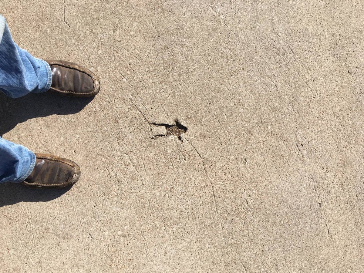 Bad Days Happen (26 pics)
