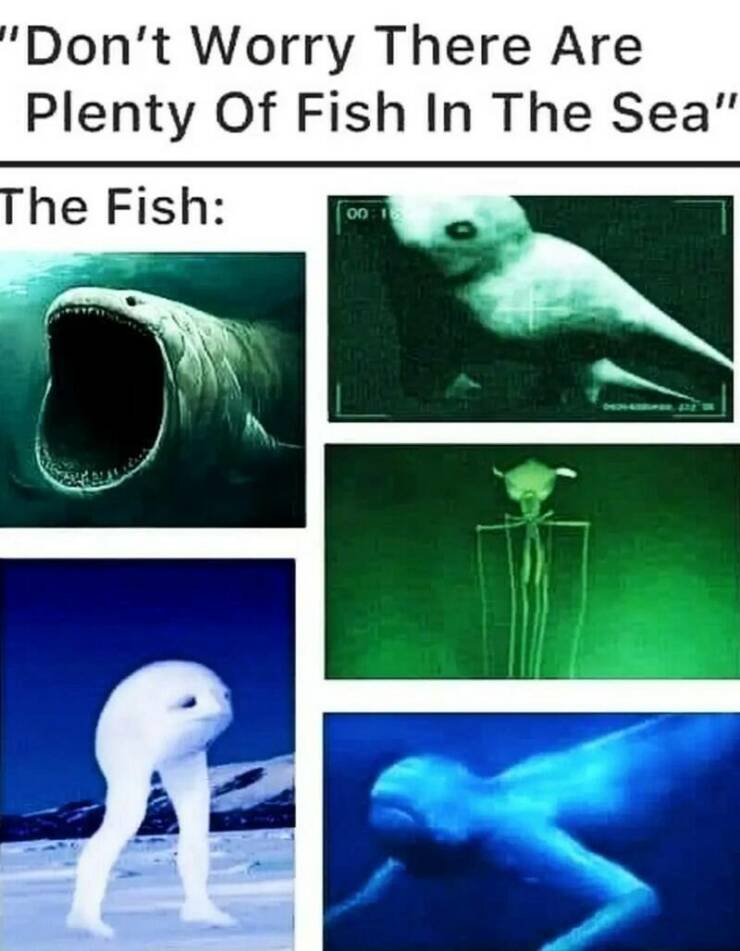 Daily Pictures. Part 2 (49 pics)