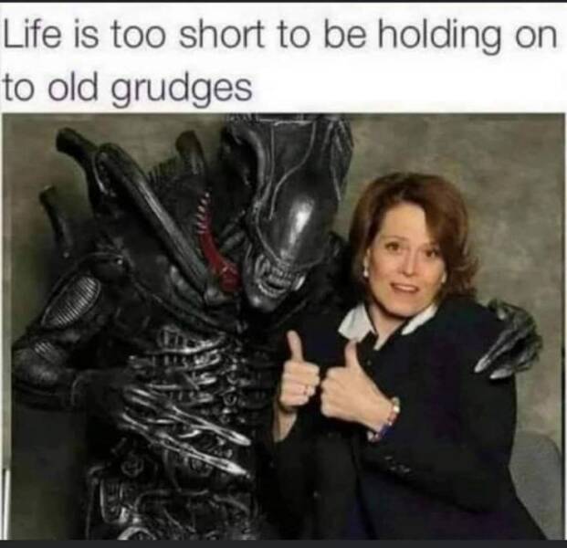 Daily Pictures. Part 2 (49 pics)