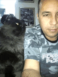 Acid GIFs, December 13 (25 gifs) Acid GIFs, December 13 (25 gifs)