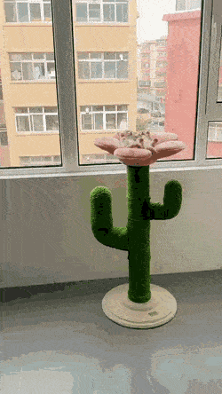 Acid GIFs, December 13 (25 gifs) Acid GIFs, December 13 (25 gifs)