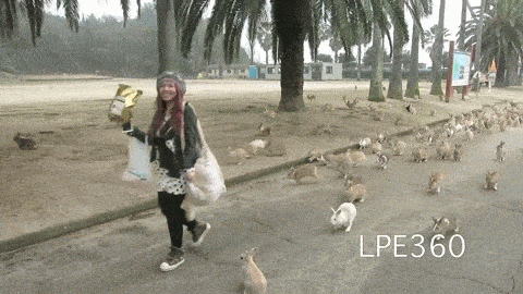 Acid GIFs, December 13 (25 gifs) Acid GIFs, December 13 (25 gifs)