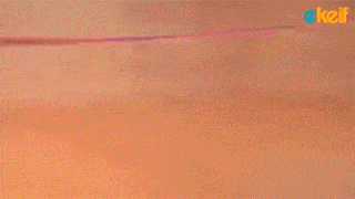 Acid GIFs, December 13 (25 gifs) Acid GIFs, December 13 (25 gifs)