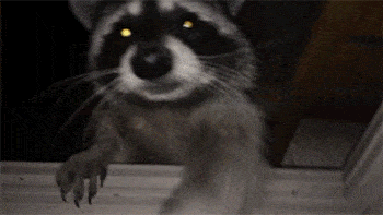 Acid GIFs, December 13 (25 gifs) Acid GIFs, December 13 (25 gifs)