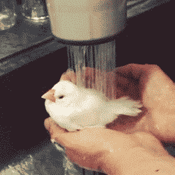 Acid GIFs, December 13 (25 gifs) Acid GIFs, December 13 (25 gifs)