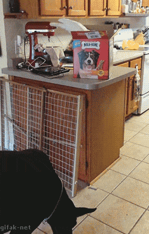Acid GIFs, December 13 (25 gifs) Acid GIFs, December 13 (25 gifs)