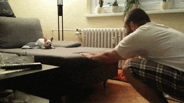 Acid GIFs, December 13 (25 gifs) Acid GIFs, December 13 (25 gifs)