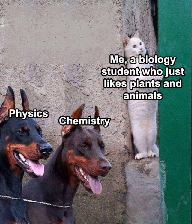 Science Memes (18 pics)