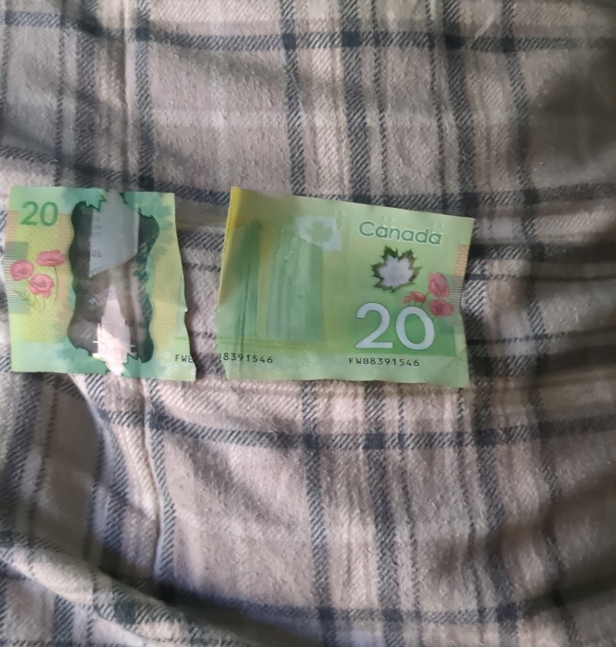 Bad Days Happen (21 pics)