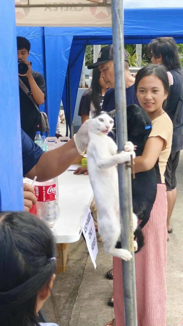 Daily Pictures. Part 1 (56 pics)