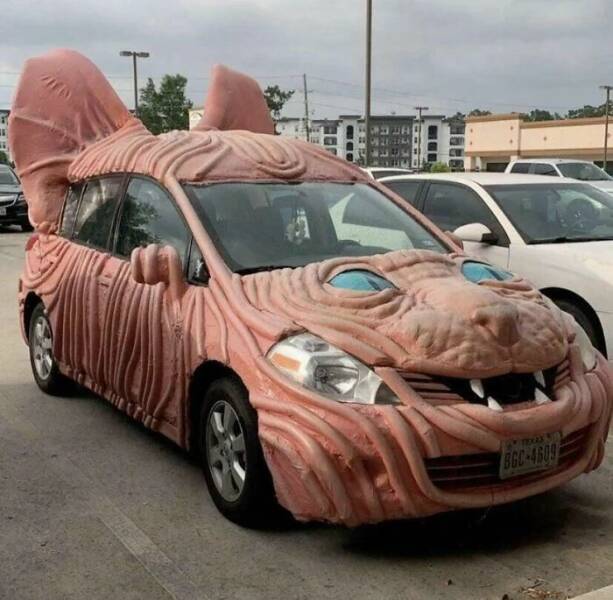 Daily Pictures. Part 1 (56 pics)