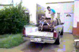 Acid GIFs, December 16 (25 gifs) Acid GIFs, December 16 (25 gifs)