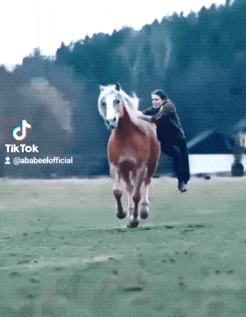 Acid GIFs, December 16 (25 gifs) Acid GIFs, December 16 (25 gifs)