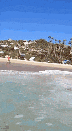 Acid GIFs, December 16 (25 gifs) Acid GIFs, December 16 (25 gifs)