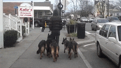 Acid GIFs, December 16 (25 gifs) Acid GIFs, December 16 (25 gifs)