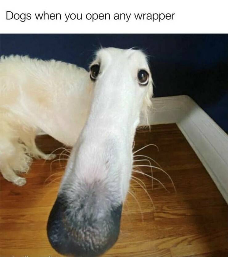 Daily Pictures. Part 2 (52 pics)