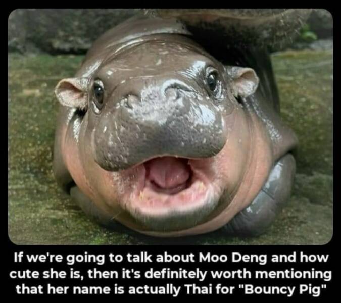 Daily Pictures. Part 2 (52 pics)