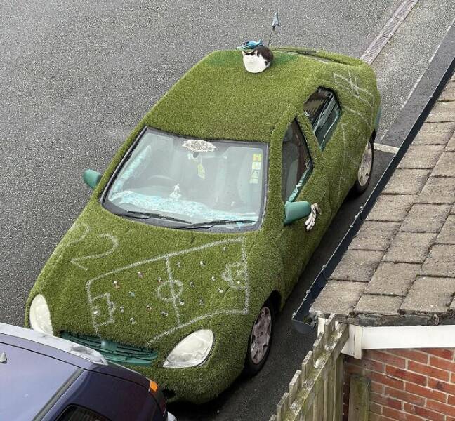 Crazy Cars (14 pics)