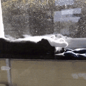 Acid GIFs, December 18 (25 gifs)
