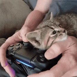Acid GIFs, December 18 (25 gifs)