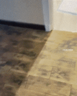 Acid GIFs, December 18 (25 gifs)