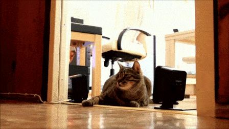 Acid GIFs, December 18 (25 gifs)