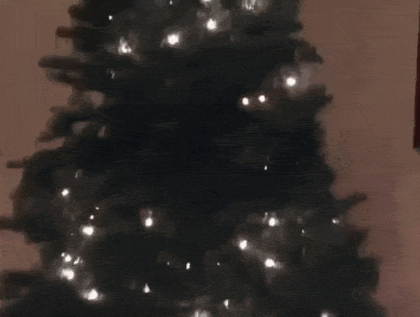 Acid GIFs, December 18 (25 gifs)