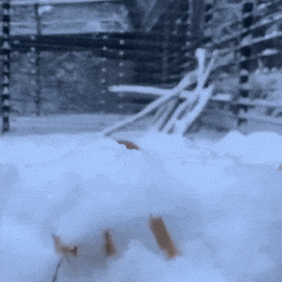 Acid GIFs, December 18 (25 gifs)