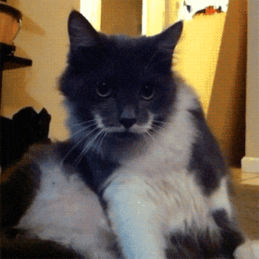Acid GIFs, December 18 (25 gifs)