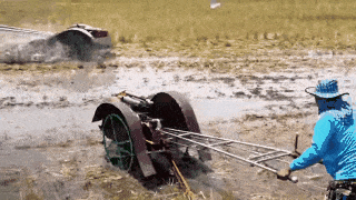 Acid GIFs, December 18 (25 gifs)