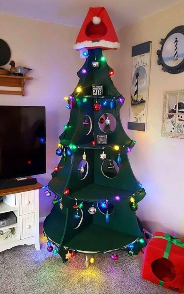 Creative Christmas Trees (25 pics)