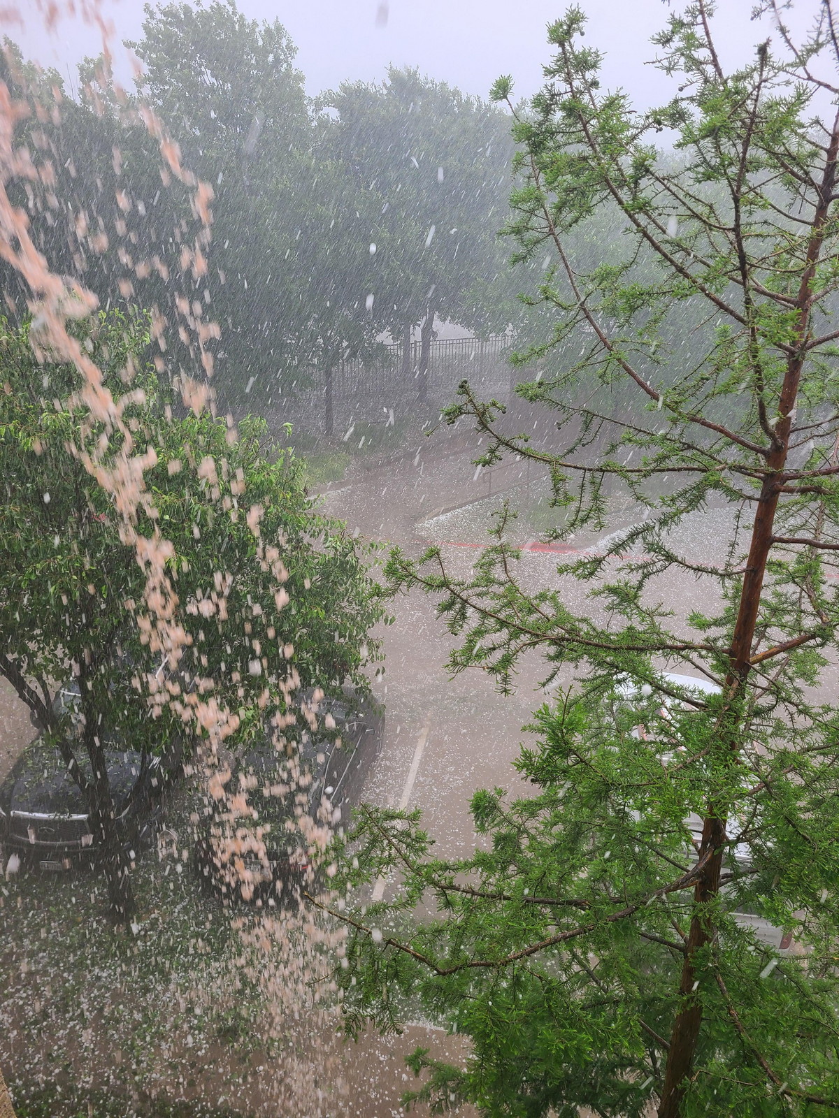 Bad Days Happen (25 pics)