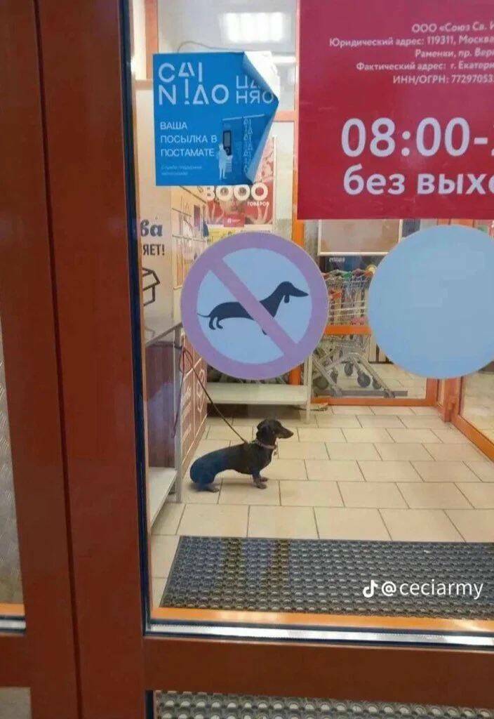 Daily Pictures. Part 1 (53 pics)
