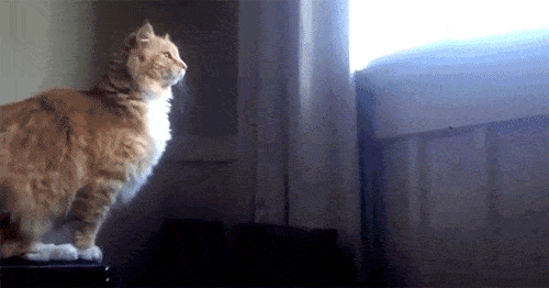 Acid GIFs, December 19 (25 gifs) Acid GIFs, December 19 (25 gifs)