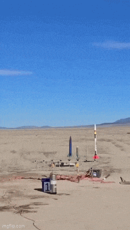 Acid GIFs, December 19 (25 gifs) Acid GIFs, December 19 (25 gifs)