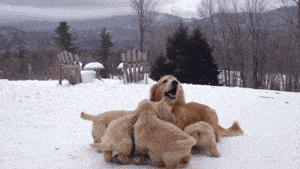 Acid GIFs, December 19 (25 gifs) Acid GIFs, December 19 (25 gifs)
