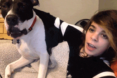 Acid GIFs, December 19 (25 gifs) Acid GIFs, December 19 (25 gifs)