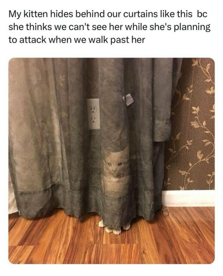 Daily Pictures. Part 2 (56 pics)