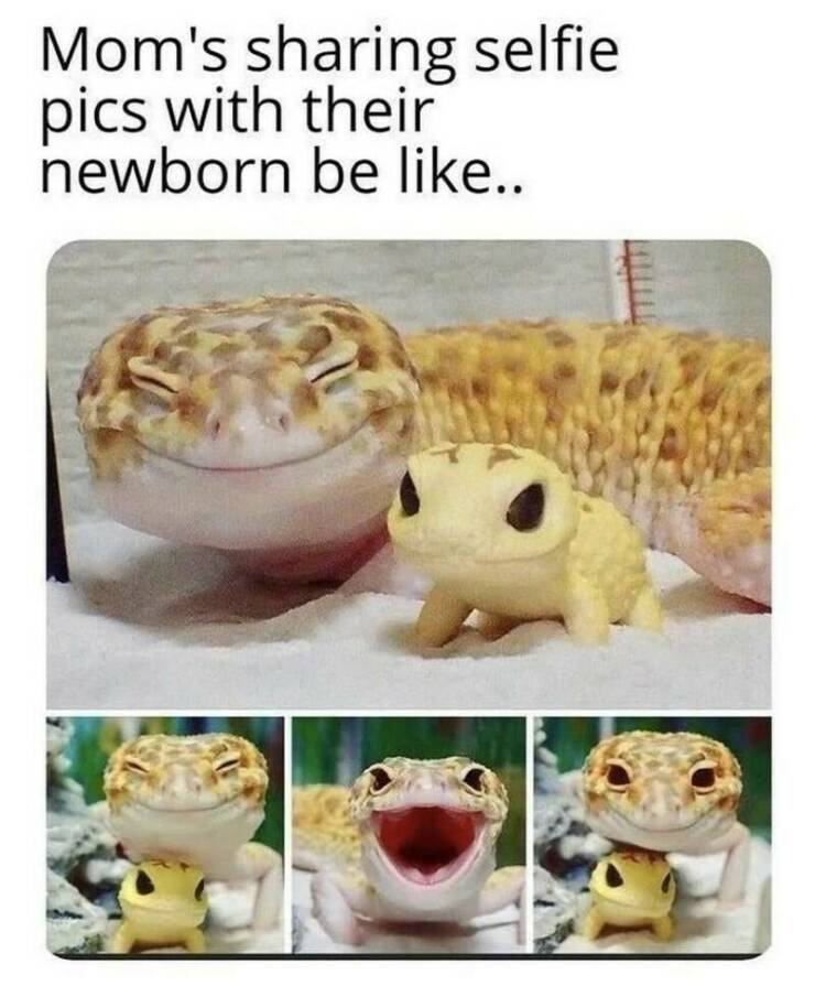 Daily Pictures. Part 2 (56 pics)