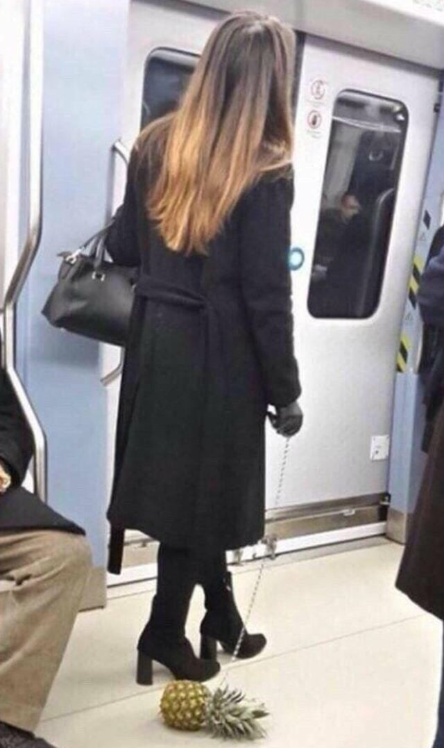 Daily Pictures. Part 2 (53 pics)