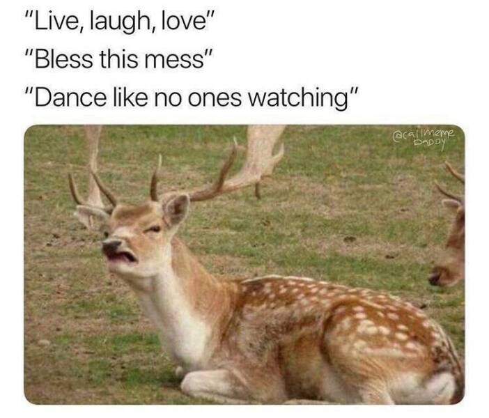 Daily Pictures. Part 2 (53 pics)