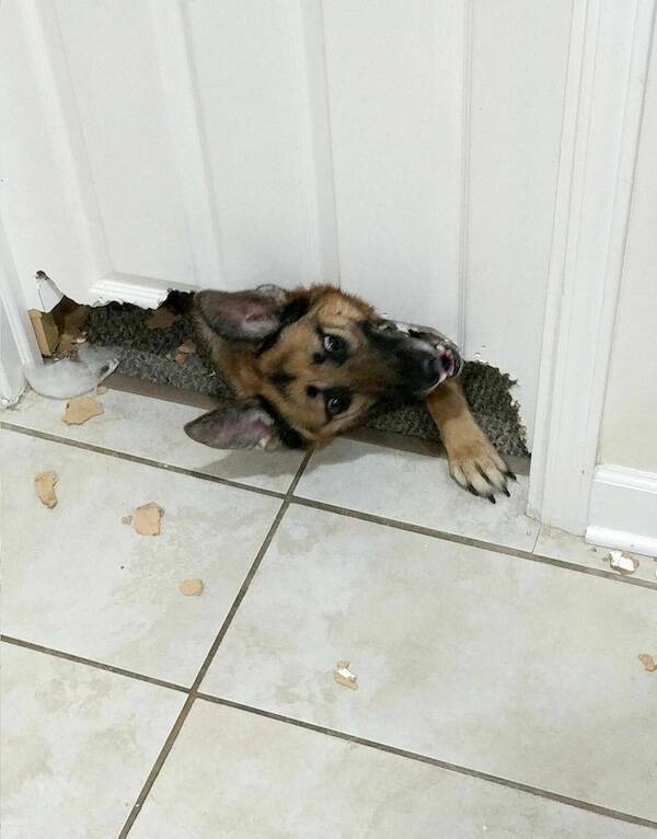 Bad Days Happen (20 pics)